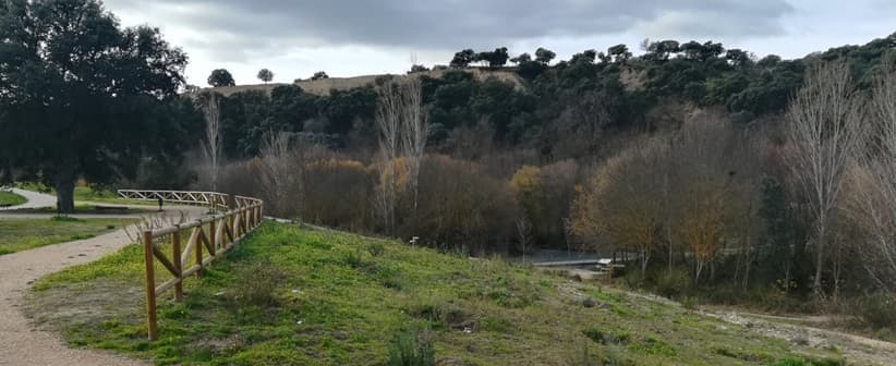 otoño2019