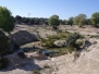 Manejo de grandes herbívoros en la cuenca del arroyo de Trofa (Fases 1 y 2) 